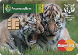 Карта амурский тигр Россельхозбанка к вкладу условия - есть решение