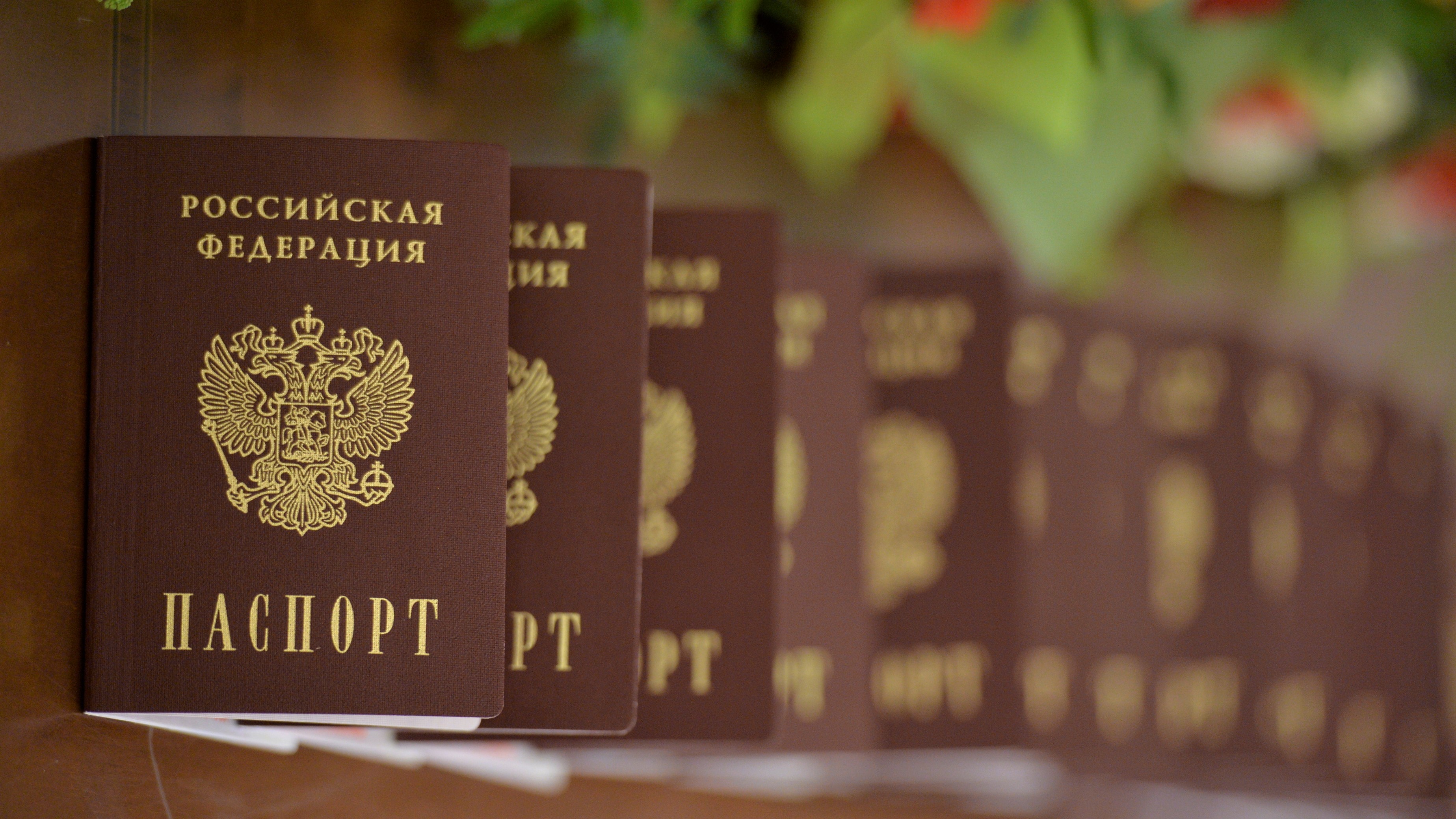 Как оплатить пошлину за паспорт через Сбербанк - способы